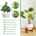 thumbnail image 4 of [Clearance!] Plant Climbing Vine Coconut Palm- Stick Coir Totem Pole For Support Extension US, 4 of 9