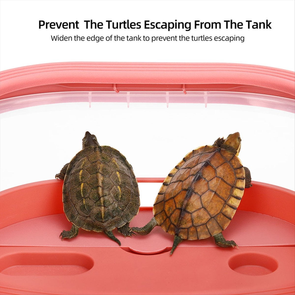 Turtle Tank For Home Use With Sun Terrace green type