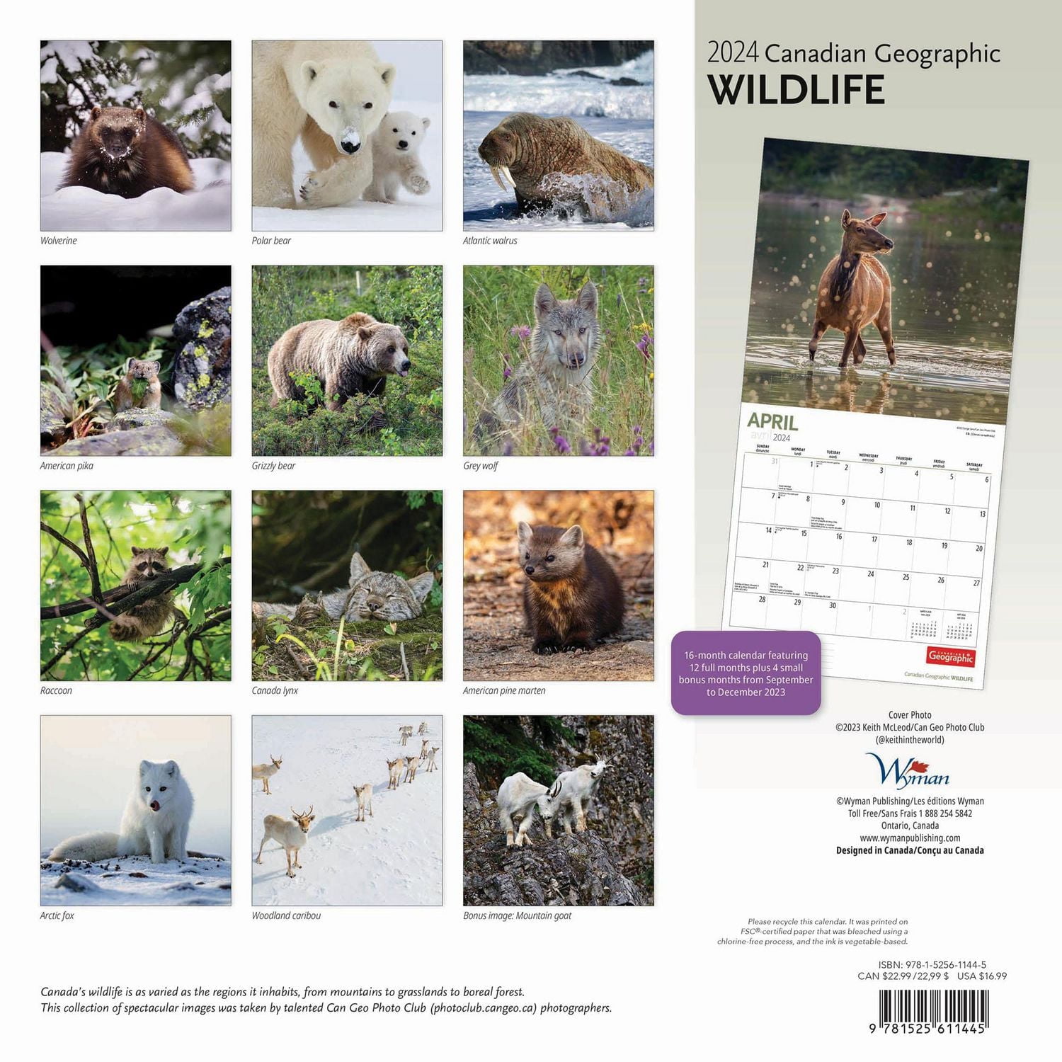 Wyman Publishing La Faune et la Flore par Canadian Geographic 2024 30.48x60.96 CM Mur Carré Calendrier, 9781525611445