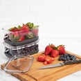 thumbnail image 6 of ProKeeper+ by Progressive Stackable Produce ProKeeper Storage Container with Stay-Fresh Vent System (PKS-912 (1.2 qt Berry Keeper)), 6 of 7