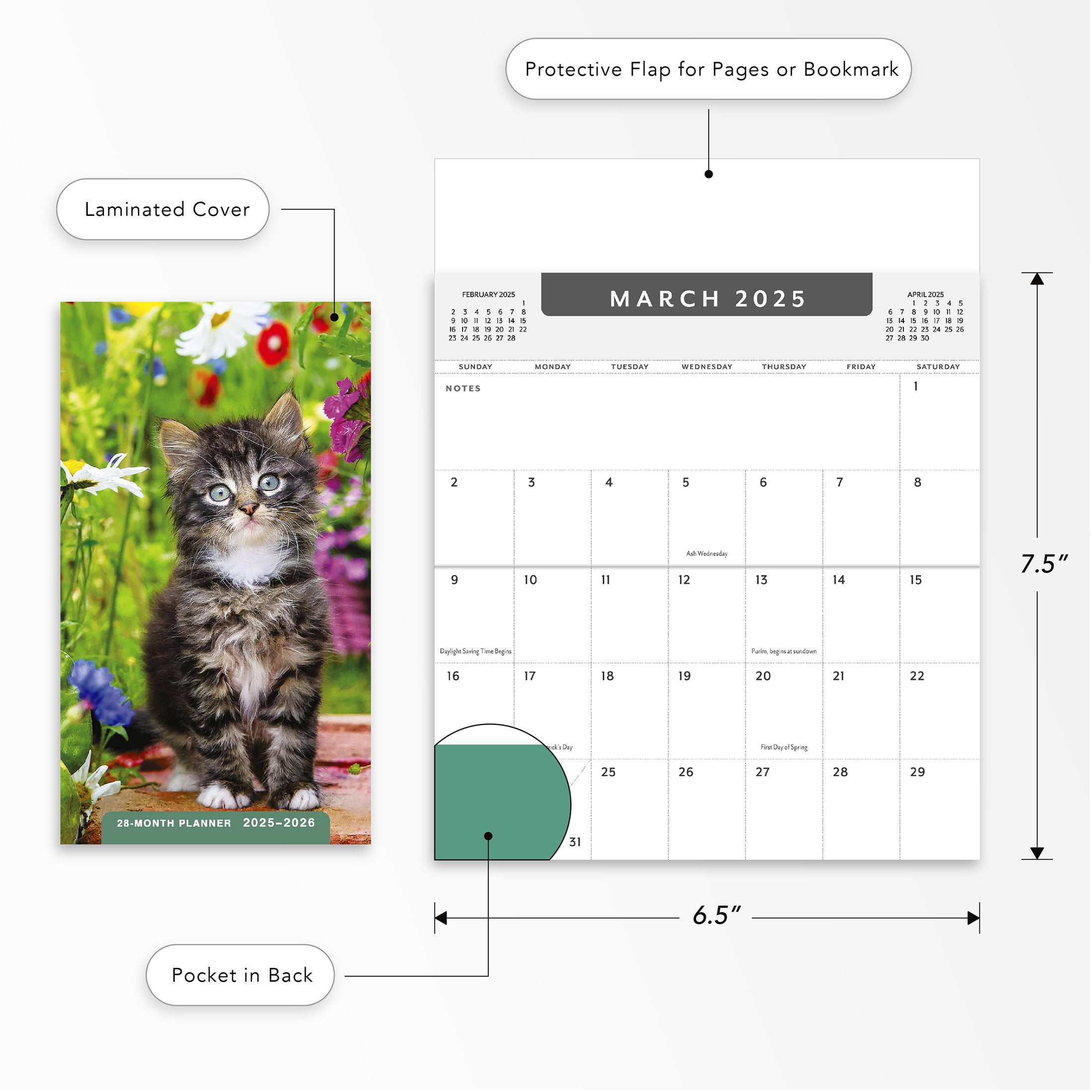 2025-Pocket Planner-Kitten- 3.62 x 6.5"- 2 yr Pocket Planner by DaySpring