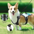 thumbnail image 4 of Pet Vest For Walking With Handle Adjustable Reflective Dog Cat Harness Trees and River, 4 of 7