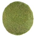 thumbnail image 1 of Vickerman FO182801 Boule d'Herbe Verte de 19,5 Po, 1 of 1