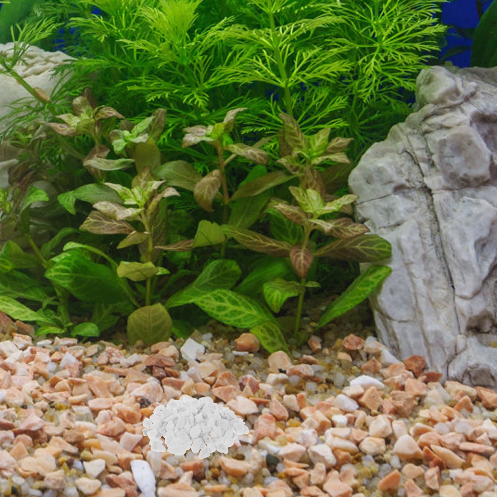 FUTUREORYY White Aquarium Stones for Indoor Plant Decoration and Erosion Prevention 1Set