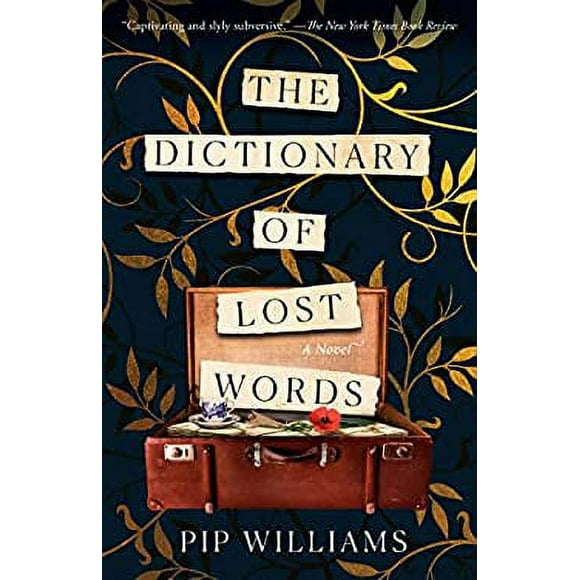 Pre-Owned The Dictionary of Lost Words : A Novel 9781984820747