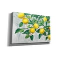 thumbnail image 2 of Epic Graffiti 'Zesty Lemons' by James Wiens, Canvas Wall Art, 18"x12", 2 of 8