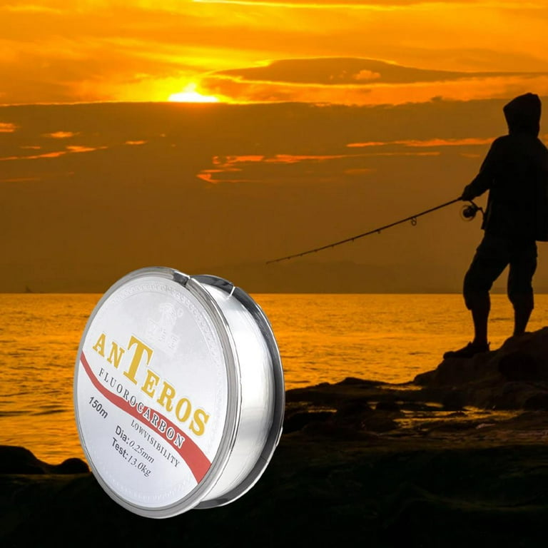 164yds Fluorocarbon Carbon Fibre Fishing Line Underwater Faster Sinking  Leader Line Low Stretch for saltwater and freshwater Bass 0.25 29lb 