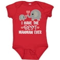 thumbnail image 3 of Inktastic Best Mawmaw Ever Grandchild Boys or Girls Baby Bodysuit, 3 of 5