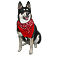 thumbnail image 2 of The BIG BANDANA -  The ORIGINAL AMERICAN BANDANA BIGGER THICKER 2X THE SIZE RED, 2 of 3