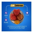 thumbnail image 4 of Alimento para Perro Ganador Adulto Razas Pequeñas 4 kg, 4 of 4