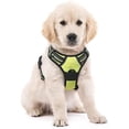 thumbnail image 1 of rabbitgoo No-Pull Pet Harness with 2 Leash Clips  Adjustable Soft Padded  Reflective No-Choke Pet Oxford Vest with Easy Control Handle for Large Dogs  Pink  L, 1 of 9