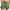 `Green, variant on Hurxie Mens 5 Inch Linen Shorts - Casual Elastic Waist Drawstring Summer Beach Shorts with Pocket White,3XL