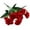 G, variant on Flowers Day Carnations for Home Wedding Decoration Arrangement Bouquet Stunning Decorative Floral Display