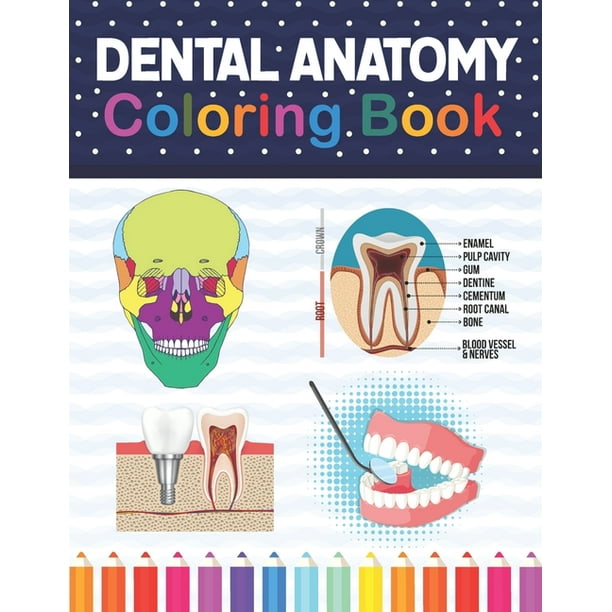 The Anatomy Coloring Book Answer Key / Kaplan Anatomy Coloring Book