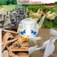 thumbnail image 2 of Bebedero para pollos de 12 piezas, bebedero automático, con herramientas de perforación, adecuado para pollos, patos y otras aves de corral (azul), 2 of 5