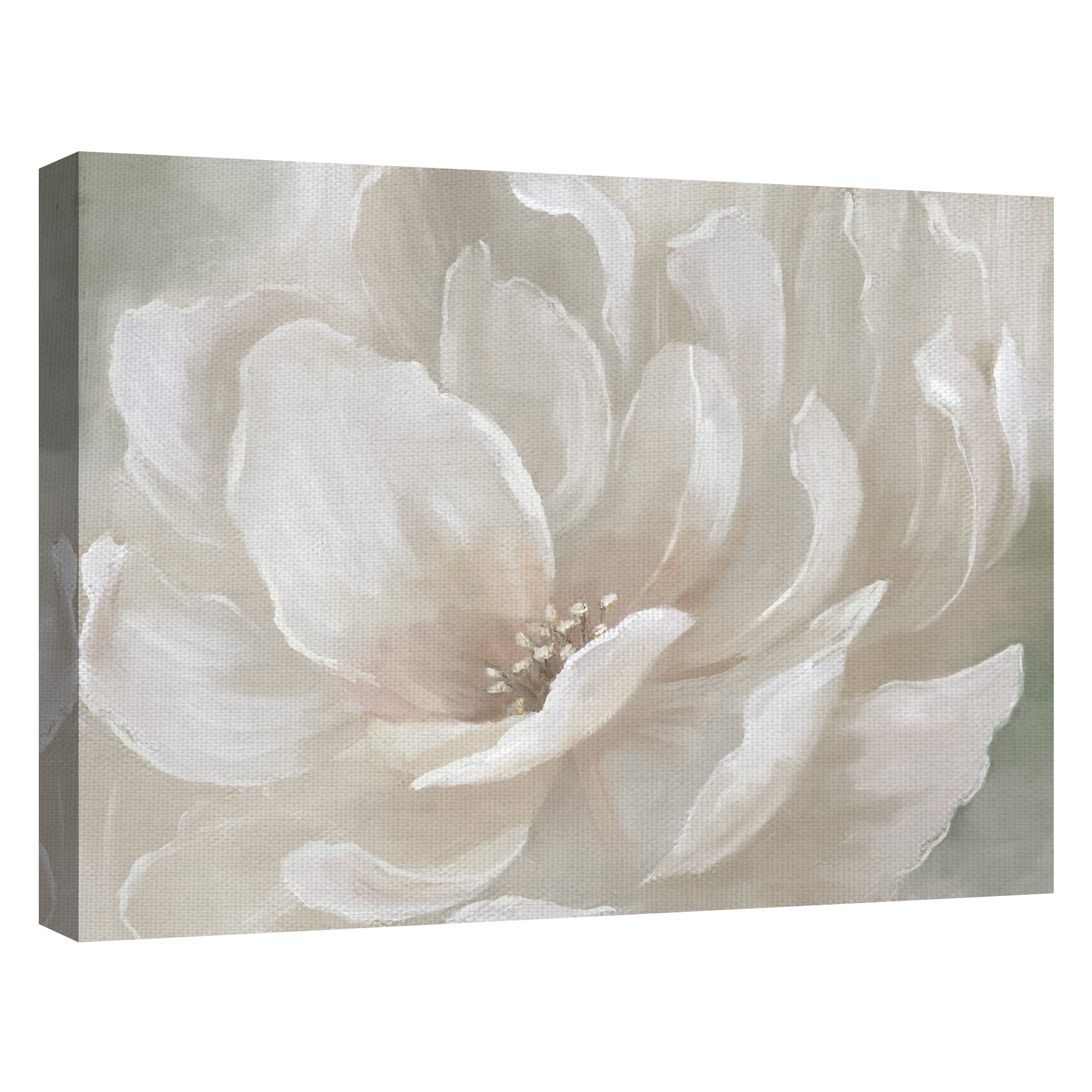 Fine Art Canvas Peach Perfect Flowers by Nan Canvas Art Print