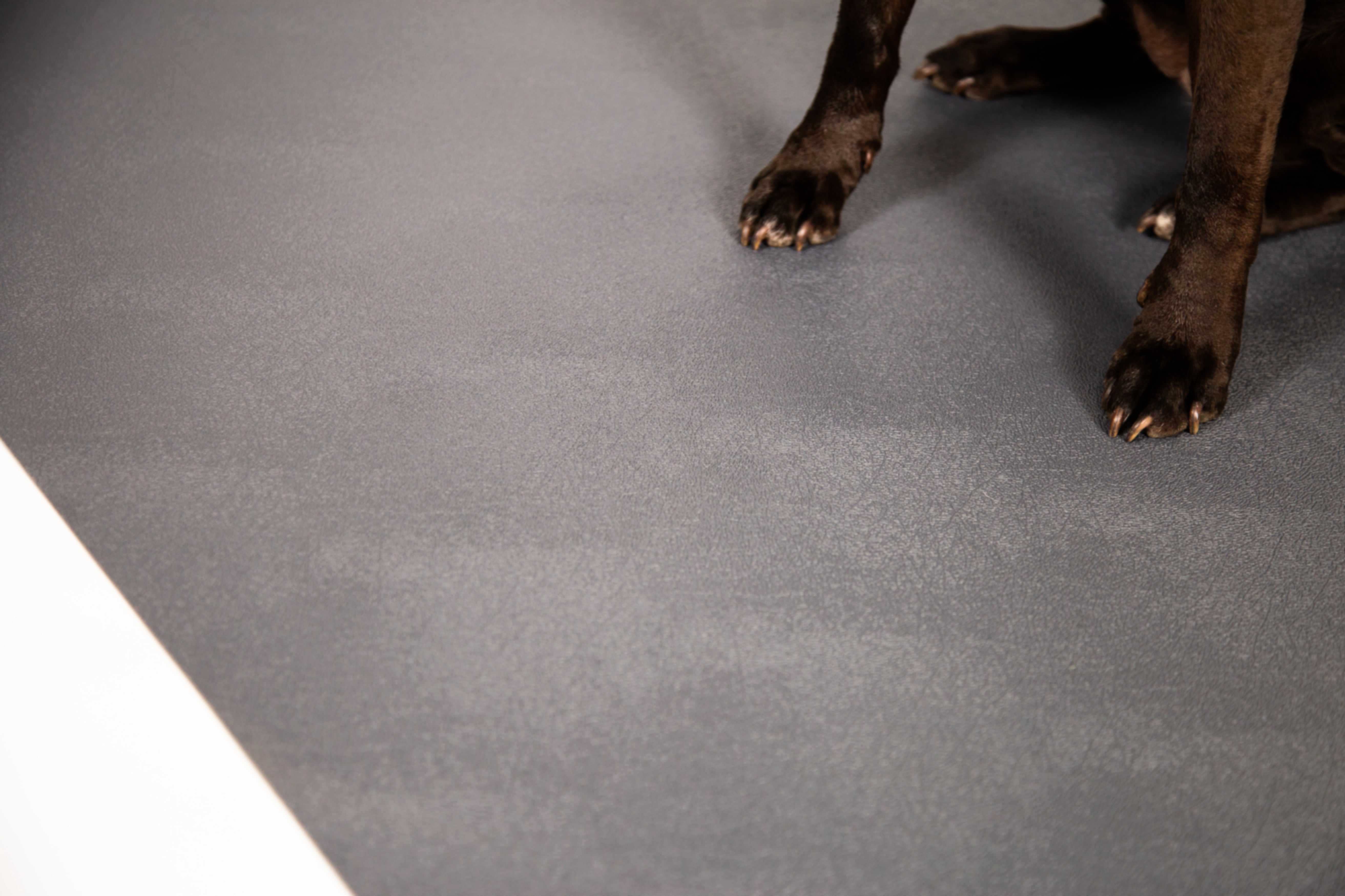 visit the g-floor store Levant Texture Protective Vinyl Floor Covering Pets 7.5ft x 17ft Gray