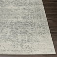thumbnail image 5 of BoutiqueRugs Rachel Bohemian Vintage Medallion Area Rug - Farmhouse Oriental Floral Carpet for Living Room, Bedroom, Dining Room - Charcoal, Gray, White - 3'11" x 5'7", 5 of 19