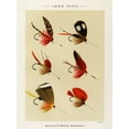 thumbnail image 2 of Marbury, Mary Orvis 25x32 Black Ornate Wood Framed with Double Matting Museum Art Print Titled - Lake Fishing Flies I from Favorite Flies and Their Histories, 2 of 4
