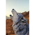 thumbnail image 3 of Hi-Line Gift Howling Grey Wolf 12” Garden Statue, Intricate Details, 3 of 4