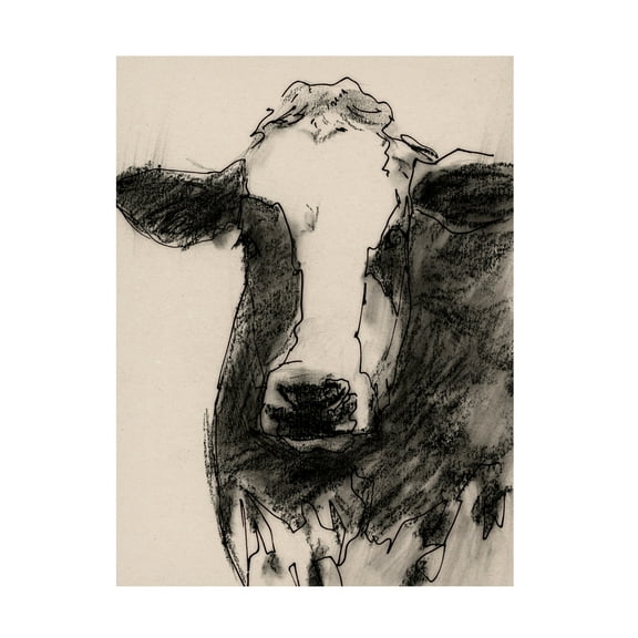 Victoria Barnes 'Cow Portrait Sketch II' Canvas Art
