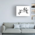 thumbnail image 3 of Emma Scarvey 'Apple Etching II' Canvas Art, 3 of 3