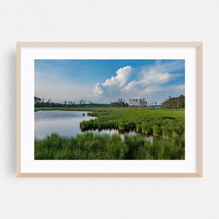 Sunset at Blackwater National Wildlife Refuge - Church Creek Maryland Photography Landscape Nature Scenic Wilderness Water Summer Oak Framed Wall Art Print 16 x 24 inches