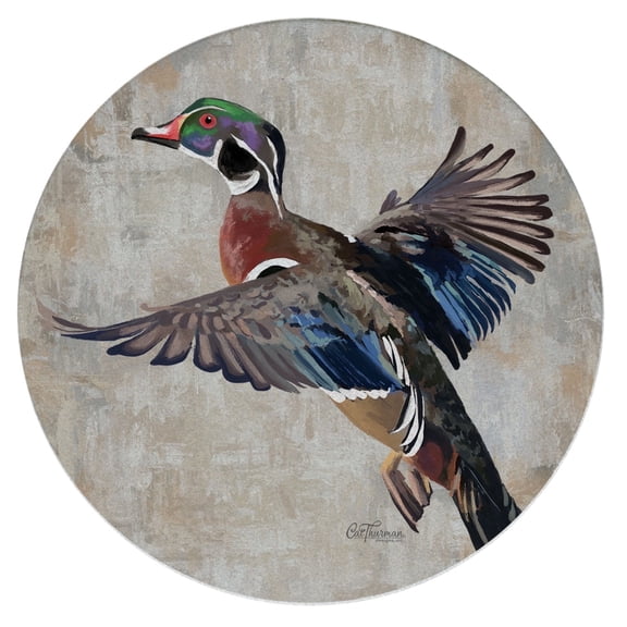 Thirstystone Wood Duck Round Natural Sandstone Coaster 4-Pack