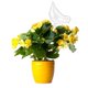 thumbnail image 4 of Bulbos de riego de plantas, dispositivo de riego automático de flores, goteros de agua de plantas de vidrio transparente, regadera de jardín para plantas de interior y exterior., 4 of 5
