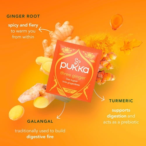 Pukka Organic Digest Collection Herbal Tea with Mint & Ginger 8's, British Import (Pack of 3)