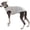 Grey, variant on HQREA Greyhound Dog Sun Protection Shirt for Medium Large Dogs Cotton Sleeveless Summer Pet Vest Tank Top for Whippet