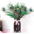 thumbnail image 5 of 10 pcs Peacock Feathers in Bulk 16-18inch(40-45 cm) Bulk for DIY Craft, Wedding, Halloween Decoration, 5 of 6