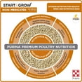 thumbnail image 2 of Purina Start & Grow Non-Medicated Chick Feed Crumbles, Chick Starter Feed, Baby Chick Food, 25 lbs, 2 of 4