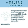 thumbnail image 5 of (6-Pack) Mrs. Meyer's Foaming Hand Soap, Rainwater, 10 oz, 5 of 7