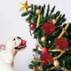 thumbnail image 5 of 12 Piezas Decoraciones para Árboles de Navidad Poinsettia con Purpurina Decoraciones Navideñas Adornos para Árboles Flores Artificiales de Navidad Decoración para Árbol de Navidad Corona de Navidad, 5 of 8