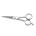 thumbnail image 1 of Esquirla Eyebrow Nose Body Hair Scissors Stainless Steel Beard Cutter Facial Trimming - Silvery, 1 of 8