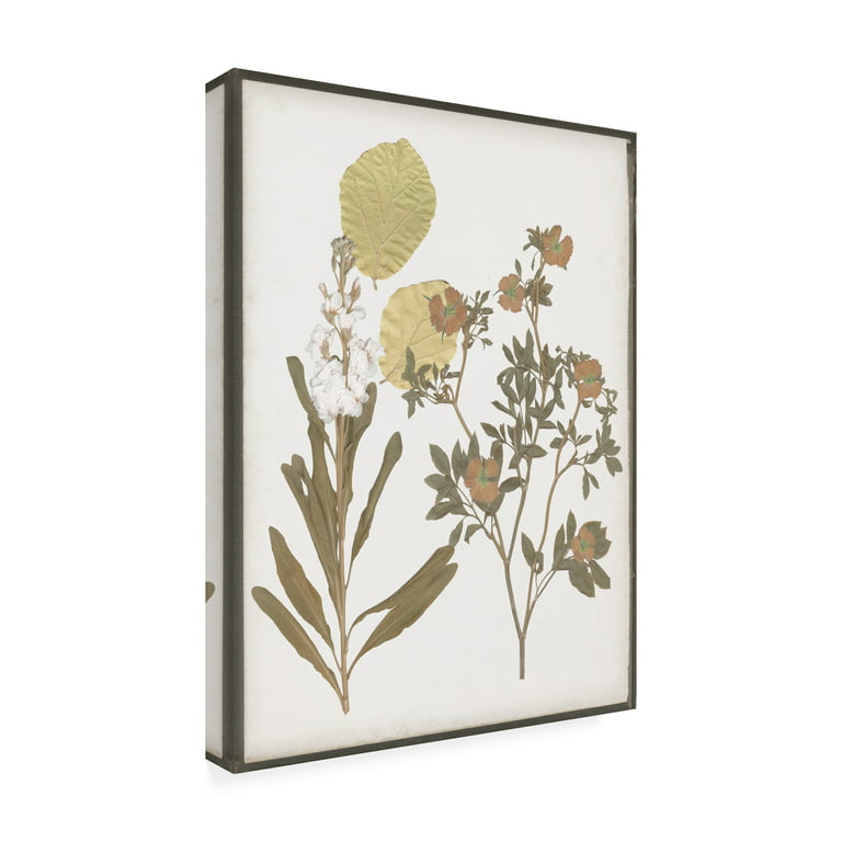 Trademark Fine Art 'Book Pressed Flowers I' Canvas Art by Jennifer Goldberger