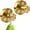Gold color, variant on 2 Units Suction Cup Hooks for Shower, Bathroom, Kitchen, Wood Door, Glass Door, Mirror, Tile – Loofah, Towel, Coat, Bath Robe Hook Holder for Hanging up to 15 lbs with Waterproof