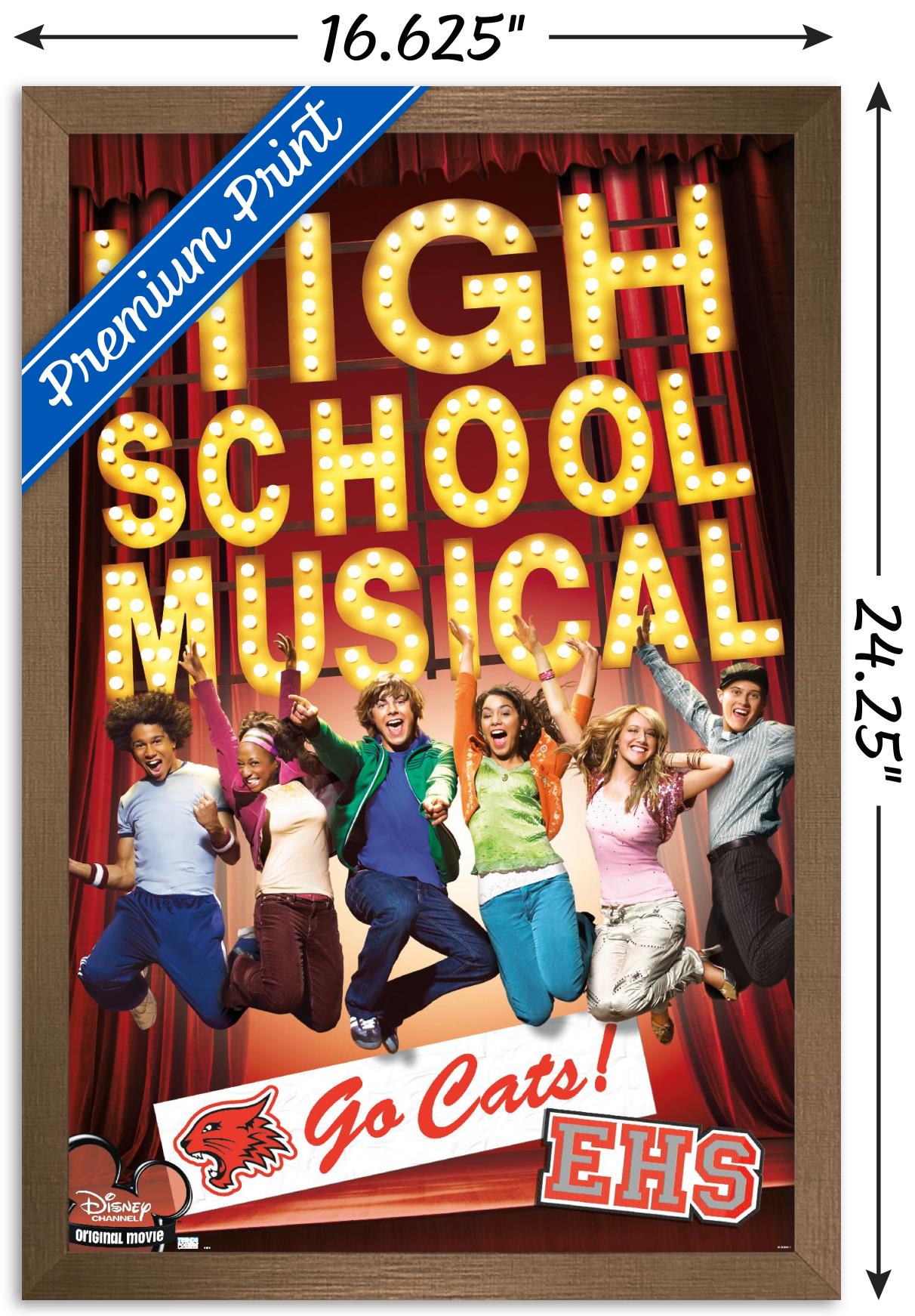 High School Musical - Go Cats! Wall Poster, 14.725" x 22.375" Framed