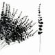 thumbnail image 1 of Flores artificiales violetas negras con hojas: Plantas artificiales de decoración gótica de Halloween para casas embrujadas,hogares,fiestas o festividades, 1 of 3