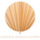 thumbnail image 3 of unbranded De Mano Color Ideal Para Eventos Y Uso Diario, 3 of 5