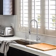 thumbnail image 2 of Wowow Brushed Nickel 20.3 in. H Single Handle Pull Down Sprayer Kitchen Faucet with Water Filter Faucet and 360° Swivel, 2 of 7