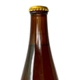 thumbnail image 3 of Ginger Beer Birra Golden 355 ml, 3 of 3
