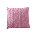 thumbnail image 2 of YiJuHui Decorative Couch Pillow Cases Summer Home Decor Pillows for Living Room Bedroom Outdoor Sofa Cushion with Zipper Polyester Cover 40*40cm, 2 of 8