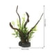 thumbnail image 3 of Plantas de acuario, modelo de raíz de árbol, decoraciones para peceras, paisajismo para acuarios, decoración de peceras, 3 of 5