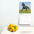 thumbnail image 5 of Magnificent Horses | 2025 12x24" (Hanging) 18 Month Wall Calendar | Jul '24 - Dec '25 | Plato, 5 of 9