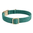 thumbnail image 6 of YUDOTE Ultra-soft Dog Collar Natural Cotton Corduroy Made for Small Dogs with Sensitive Skin,Bottle Green, 6 of 9