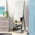 NeuType 22" x 65" Black Contemporary Full Length Mirror