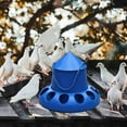 thumbnail image 2 of Alimentador de pollos, dispensador de cubo de alimentación de pájaros, cuenco para patio trasero, 11 agujeros para , , codorniz,, 2 of 9