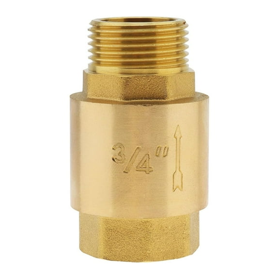 Brass Spring Loaded Check Valves 3/4 Inch Threaded Connection for Pump Lines